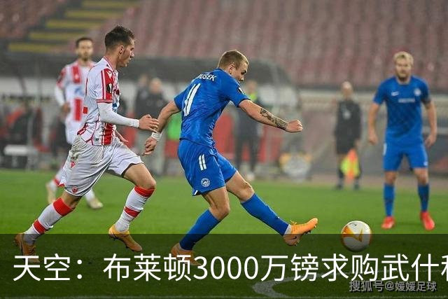 天空：布莱顿3000万镑求购武什科维奇，预计热刺对其估值超6000万